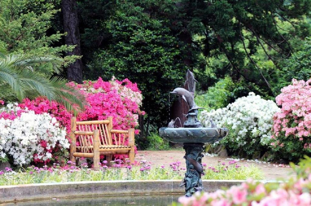 White Guest House バトゥーミ エクステリア 写真