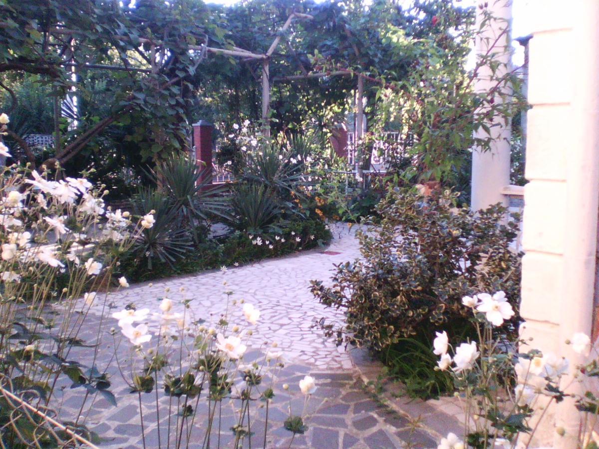 White Guest House バトゥーミ エクステリア 写真